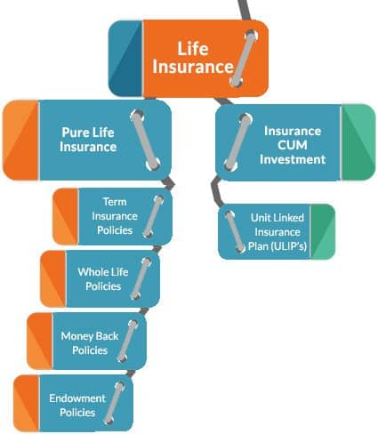 What types of plans does Beneficial Life Insurance offer?