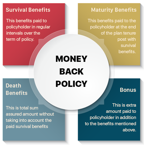 Money Back Policy- Compare Money Back Plans, Features & Reviews