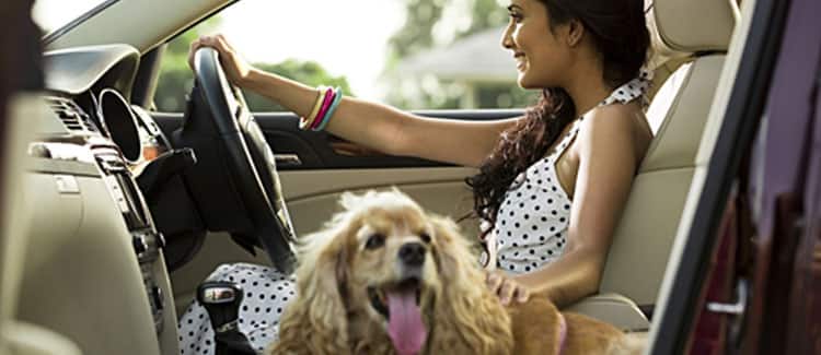Safety Tips to Secure Your Two-Wheeler This Winter with Insurance