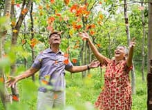 Why is Travel Insurance So Expensive for Senior Citizens?