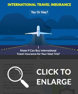 International Travel Insurance