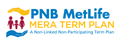 PNB Term Insurance For Housewife