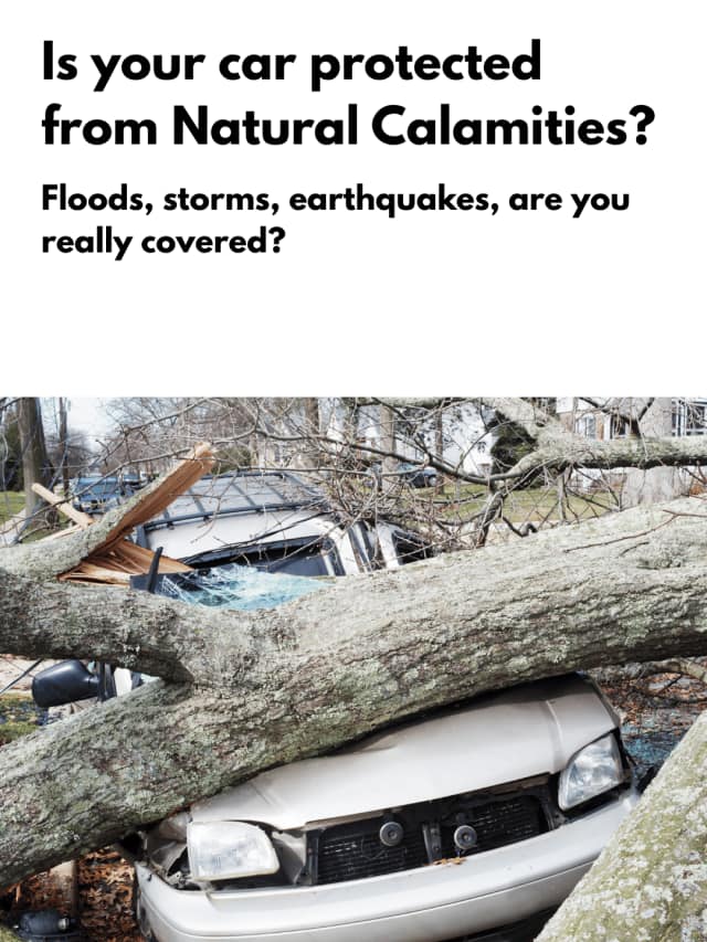 Natural Disaster Insurance: What You Should Know